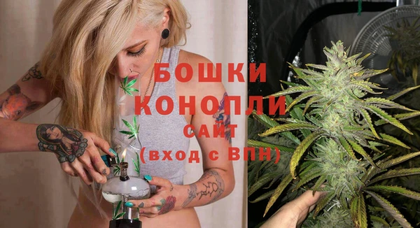 крисы Осташков