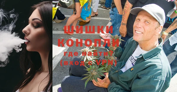 apvp Няндома
