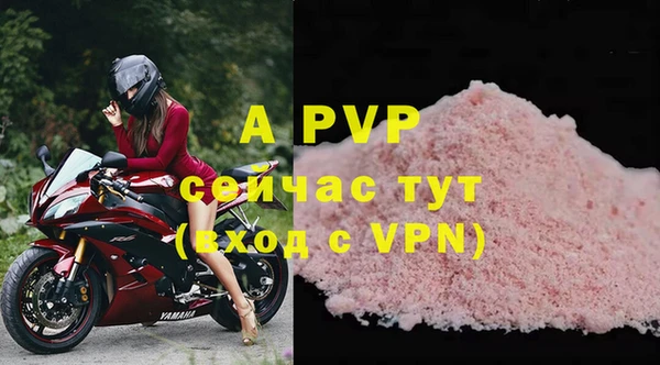 крисы Осташков