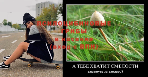 крисы Осташков