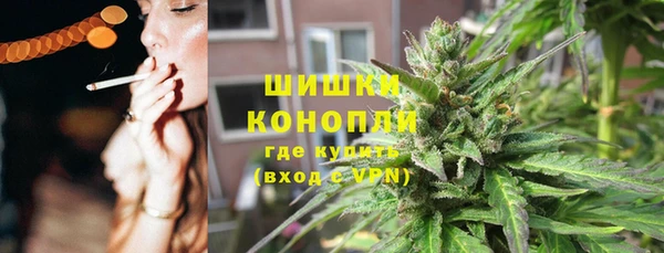 сатива Нягань