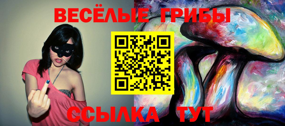 Белогорск  Псилоцибиновые грибы GOLDEN TEACHER  Галлюциногенные грибы мицелий  Вход с VPN 