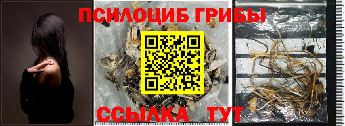 Псилоцибиновые грибы MAGIC MUSHROOMS Белогорск